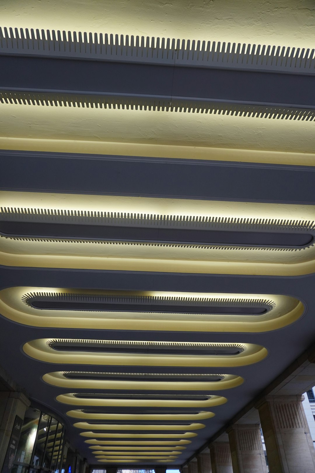 modern-ceiling-with-illuminated-oval-shapes-and-linear-lights-juprp5u4bno